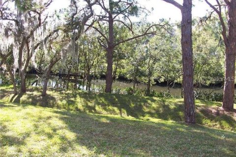Condo in Tarpon Springs, Florida, 2 bedrooms  № 1817326 - photo 11