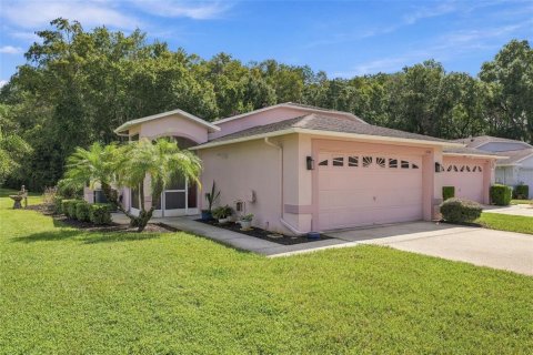 Villa ou maison à New Port Richey, Floride 2 chambres, 114.08 m2 № 2398450