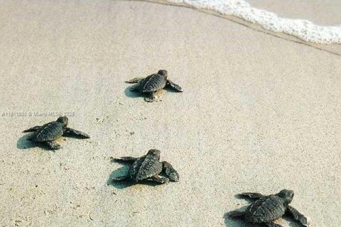 Снять в аренду кондоминиум в Виро-Бич, Флорида 2 спальни, 174.66м2, № 2013422 - фото 15