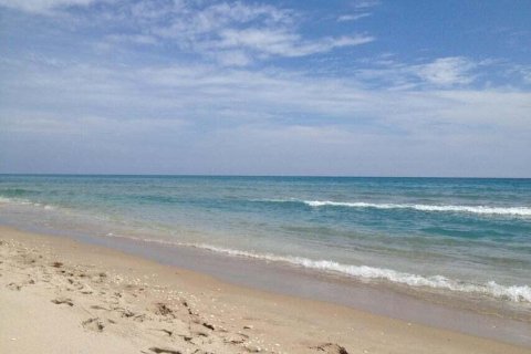 House in Ocean Ridge, Florida 3 bedrooms, 168.25 sq.m. № 2175652 - photo 3