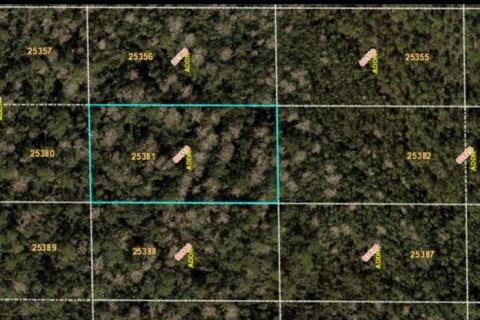 Land in Orlando, Florida № 2219152 - photo 2