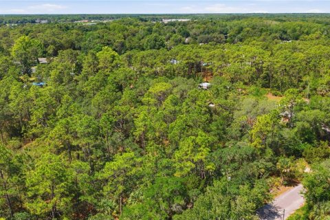 Land in Crystal River, Florida № 2231661 - photo 2