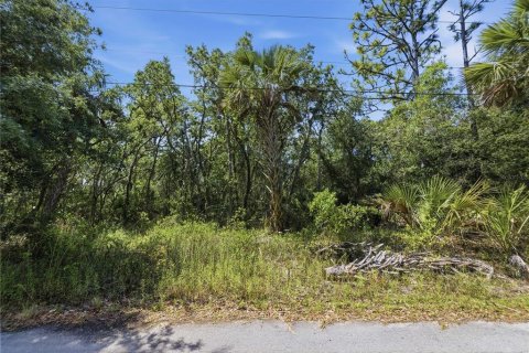 Land in Crystal River, Florida № 2231661 - photo 6