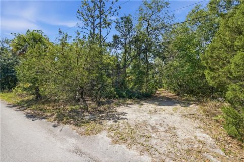 Land in Crystal River, Florida № 2231661 - photo 7