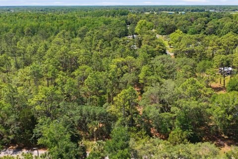 Land in Crystal River, Florida № 2231661 - photo 3