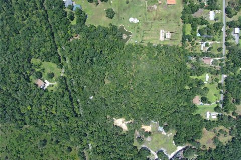 Terreno en venta en Orlando, Florida № 1827758 - foto 2