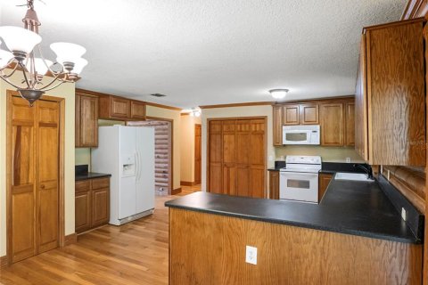 Villa ou maison à vendre à Sanford, Floride: 3 chambres, 176.89 m2 № 2198629 - photo 19