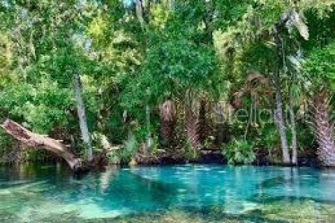 Купить виллу или дом в Бевърли Хилс, Флорида 5 комнат, 237.37м2, № 2266691 - фото 10
