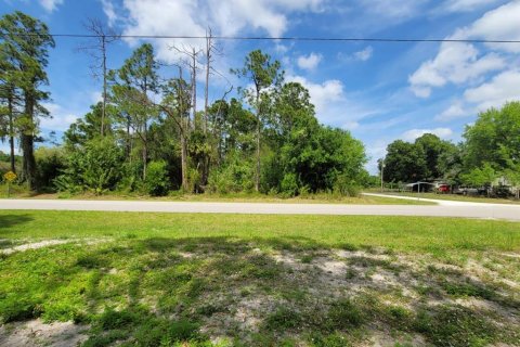 Land in Clewiston, Florida № 1087694 - photo 1