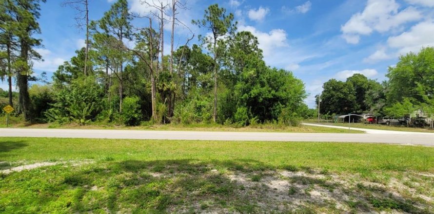 Land in Clewiston, Florida № 1087694