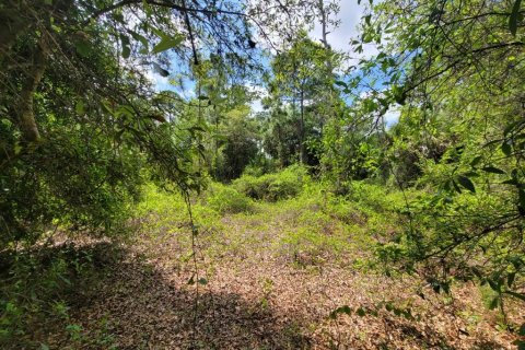 Land in Clewiston, Florida № 1087694 - photo 7
