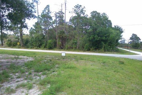 Land in Clewiston, Florida № 1087694 - photo 5