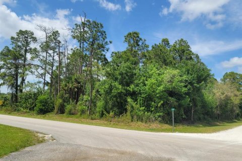 Land in Clewiston, Florida № 1087694 - photo 4