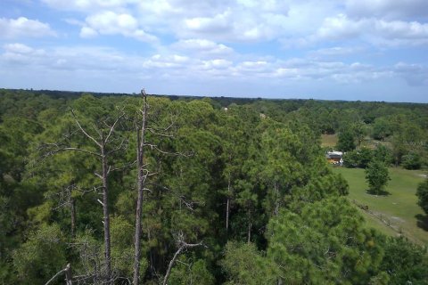 Land in Clewiston, Florida № 1087694 - photo 11