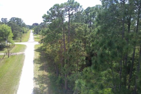 Land in Clewiston, Florida № 1087694 - photo 9