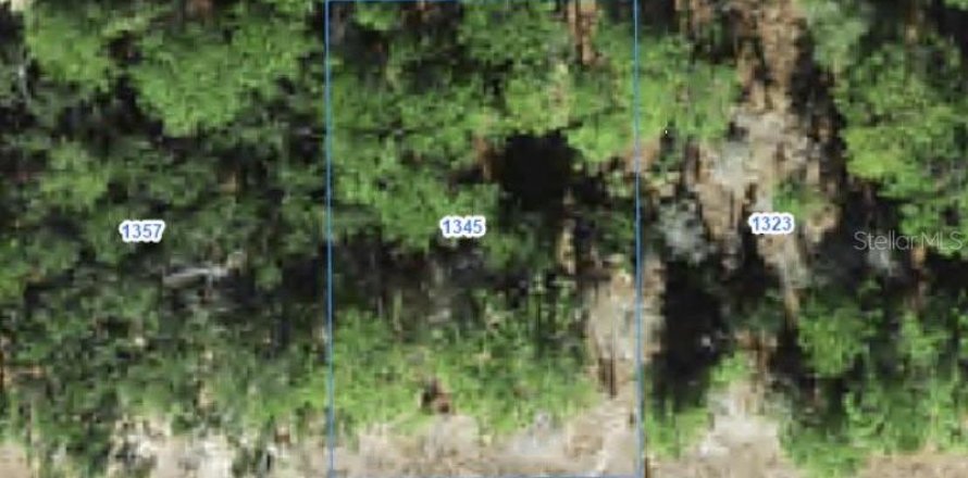 Land in Citrus Springs, Florida № 2388216