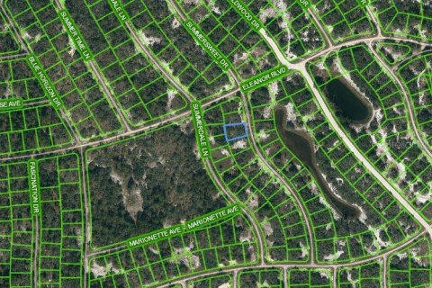 Land in Lake Placid, Florida № 2233806