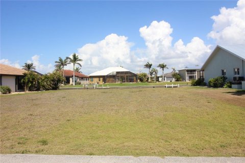 Land in Punta Gorda, Florida № 1609559 - photo 2