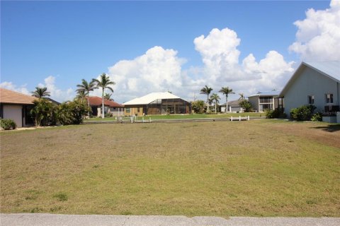 Land in Punta Gorda, Florida № 1609559 - photo 1