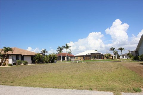 Land in Punta Gorda, Florida № 1609559 - photo 7