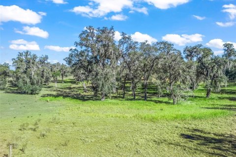 Terreno en venta en Ocala, Florida № 2099406 - foto 16
