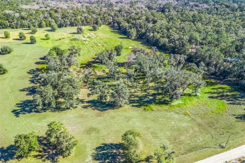 Terreno en venta en Ocala, Florida № 2099406 - foto 10