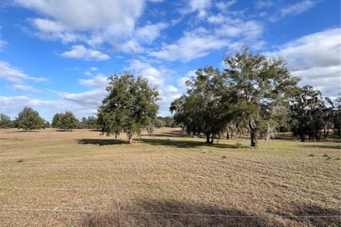 Terreno en venta en Ocala, Florida № 2099406 - foto 15