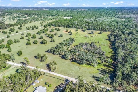 Terreno en venta en Ocala, Florida № 2099406 - foto 6