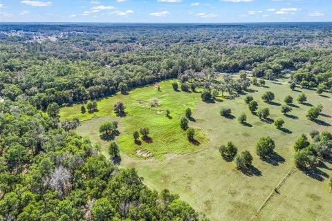 Terreno en venta en Ocala, Florida № 2099406 - foto 11
