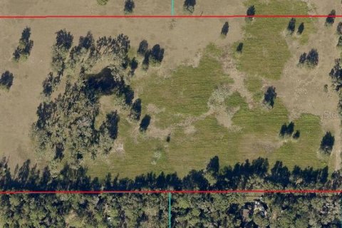 Terreno en venta en Ocala, Florida № 2099406 - foto 17