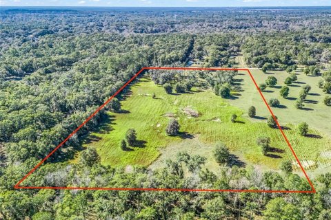 Terreno en venta en Ocala, Florida № 2099406 - foto 13