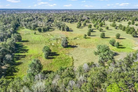 Terreno en venta en Ocala, Florida № 2099406 - foto 14