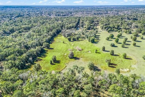Terreno en venta en Ocala, Florida № 2099406 - foto 12