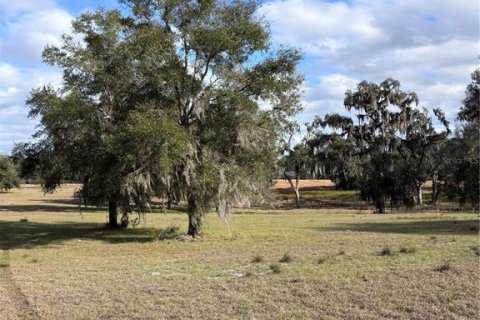 Terreno en venta en Ocala, Florida № 2099406 - foto 4