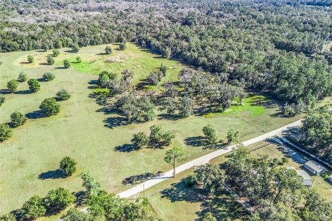 Terreno en venta en Ocala, Florida № 2099406 - foto 7