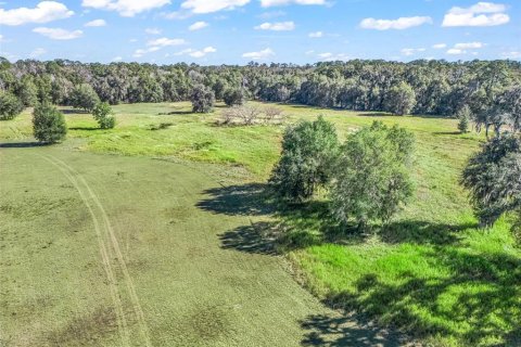 Terreno en venta en Ocala, Florida № 2099406 - foto 8