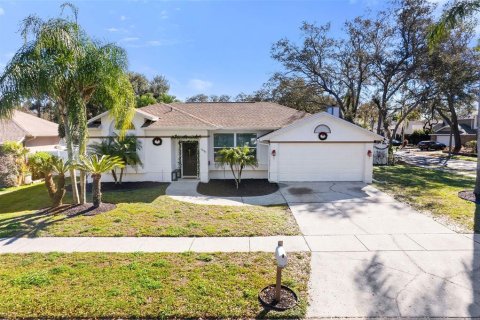 Casa en venta en Tampa, Florida, 3 dormitorios, 170.75 m2 № 2091950 - foto 2