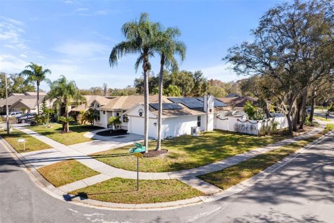 House in Tampa, Florida 3 bedrooms, 170.75 sq.m. № 2091950