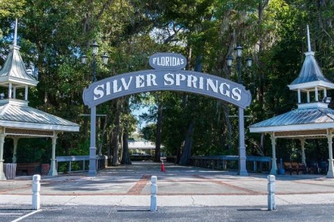 Casa en venta en Ocala, Florida, 4 dormitorios, 174.28 m2 № 1918690 - foto 24