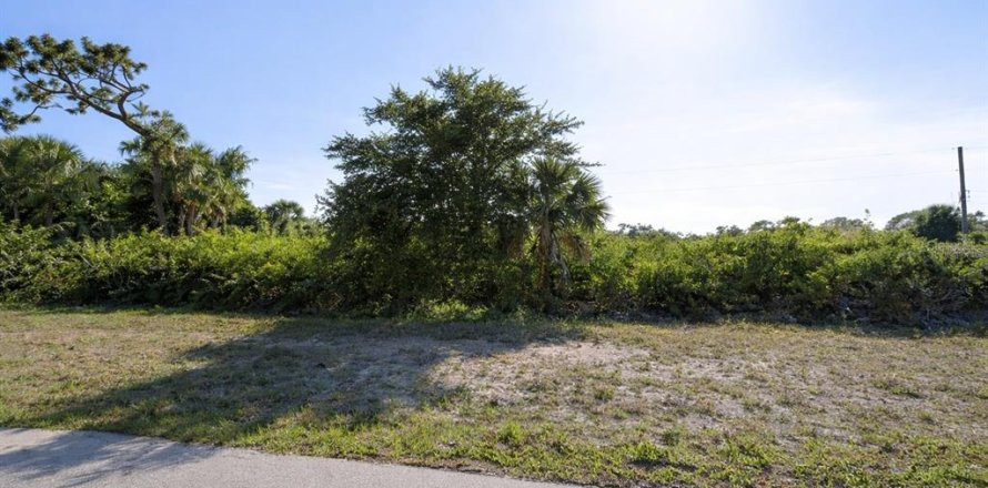 Terreno en Placida, Florida № 2165866