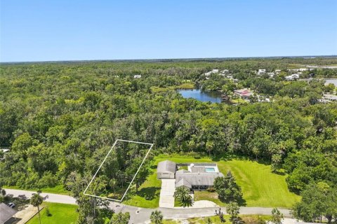 Terreno en Crystal River, Florida № 2385745