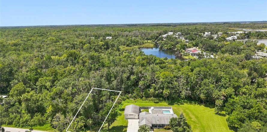 Terreno en Crystal River, Florida № 2385745