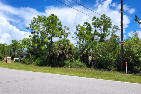 Land in Port Charlotte, Florida № 2370924 - photo 4