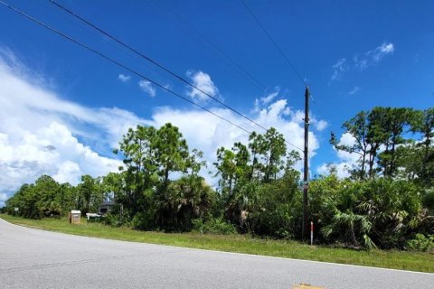 Land in Port Charlotte, Florida № 2370924 - photo 5
