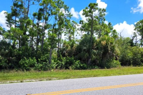 Land in Port Charlotte, Florida № 2370924 - photo 3