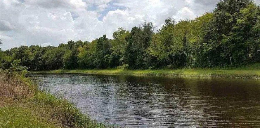 Land in Hastings, Florida № 766504