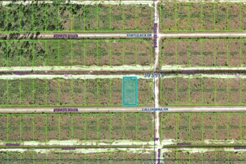 Land in Indian lake estates, Florida № 2162038