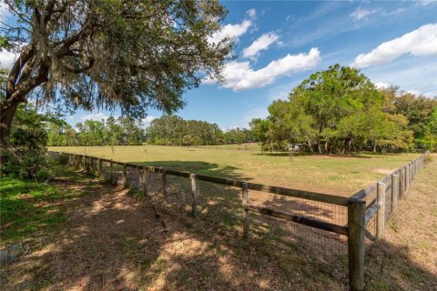 Land in Reddick, Florida № 1602882 - photo 26