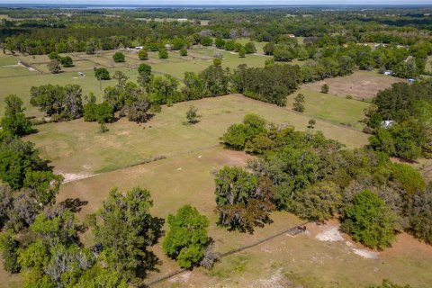 Land in Reddick, Florida № 1602882 - photo 13