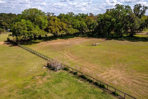 Land in Reddick, Florida № 1602882 - photo 18